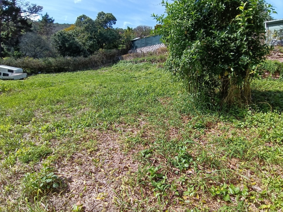 Commercial Property for Sale in Grootbrakhoogte Western Cape